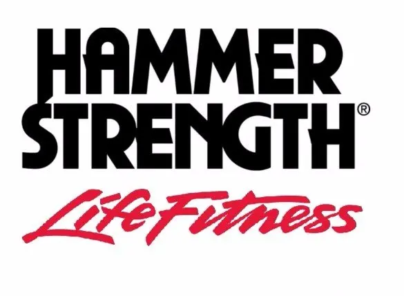 life fitne hammer strength