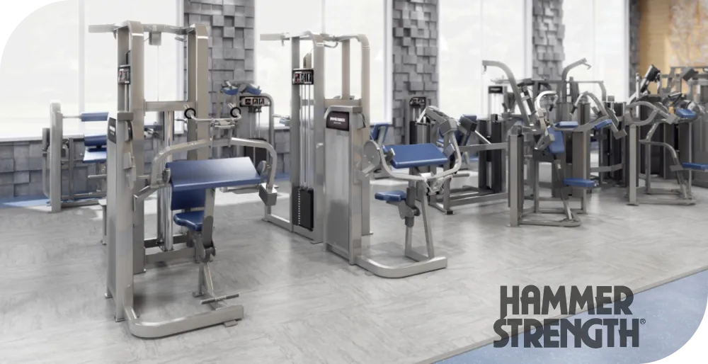 Máquinas Life Fitness Hammer Select Segunda Mano
